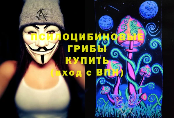 герыч Алексин