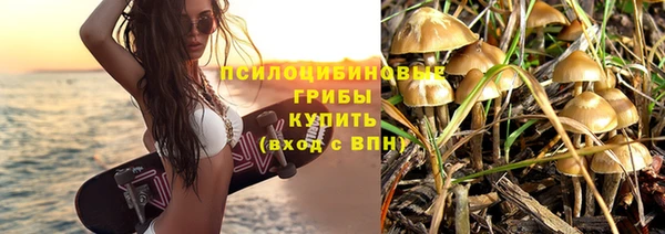 герыч Алексин